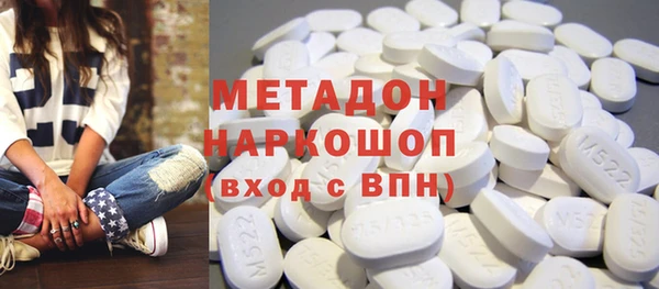 хмурый Аркадак