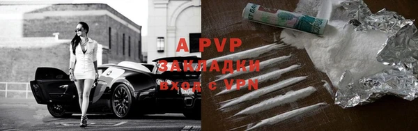 хмурый Аркадак