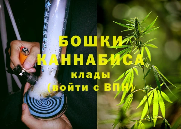 хмурый Аркадак