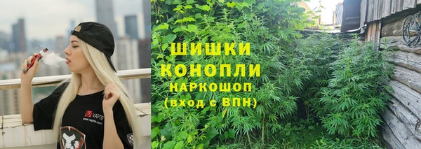 гидра Балахна
