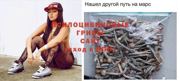 ГАЛЛЮЦИНОГЕННЫЕ ГРИБЫ Армянск