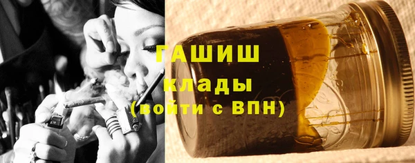 хмурый Аркадак