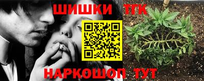 Альфа ПВП Заводоуковск