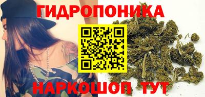 круглые Заволжье