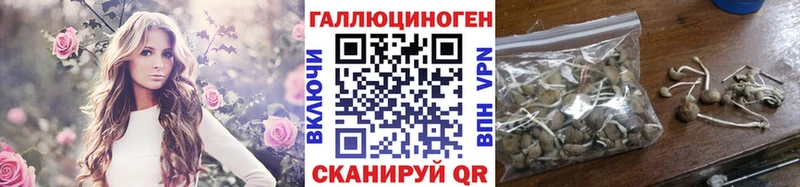 MEGA tor Можга Галлюциногенные грибы прущие грибы