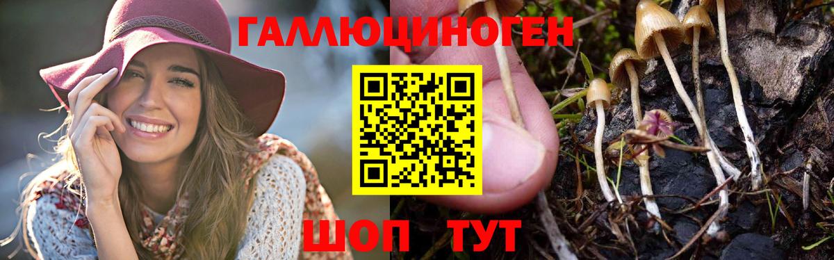 Галлюциногенные грибы мицелий  Псилоцибиновые грибы Psilocybine cubensis  Можга  цены наркотик  Вход с VPN 