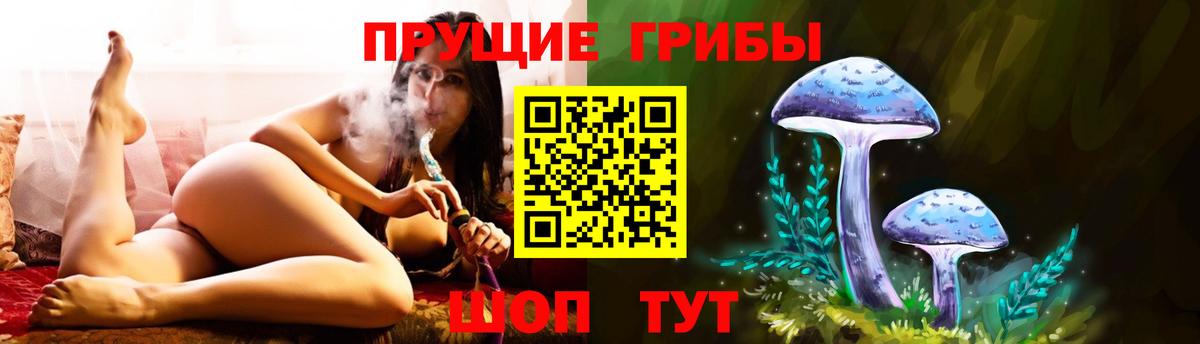 Псилоцибиновые грибы прущие грибы Можга